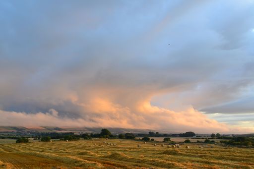 a horizontal view of a freshly harvested field with straw rolls and stormy clouds at sunset