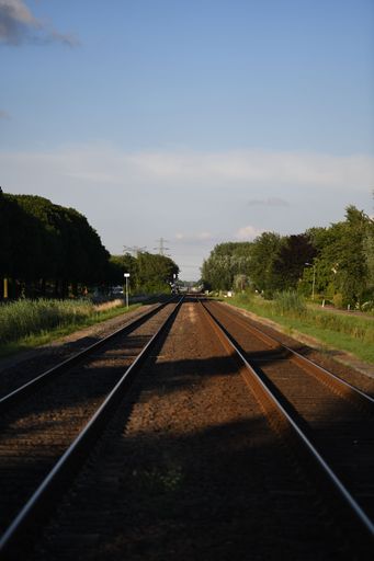 A vertical shot of an isolated railway trails with lush green trees on both sides