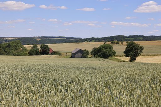 A beautiful shot of a hut in the field in countryside in Hohenlohe
