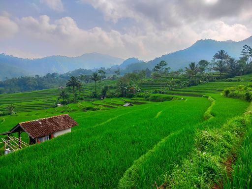 A beautiful view of small houses on a hill with fresh grass and trees