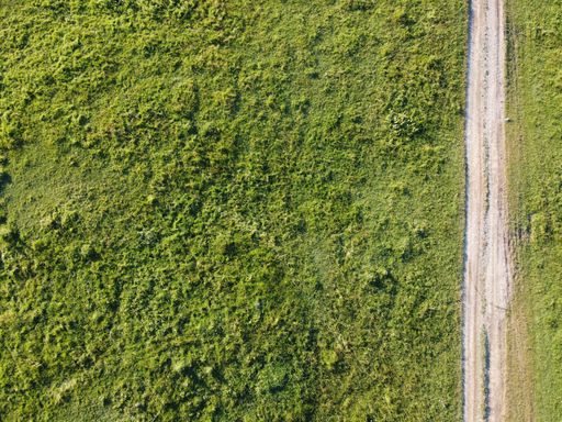 An aerial top view of a dirt road leading through a green field