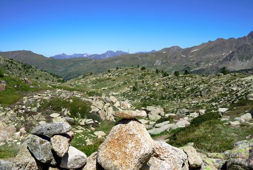 A sunny scenery of a mountain landscape covered with greenery