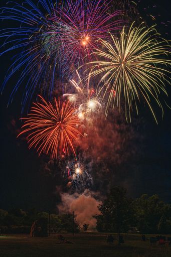 A vertical shot of vibrant, colorful fireworks exploding in the darkness at night