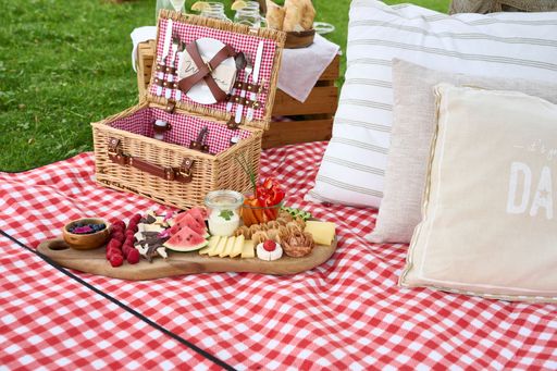 A beautiful countryside picnic blanket with pillows and an appetizer set
