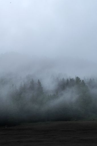 An aerial view of dense forest in foggy day