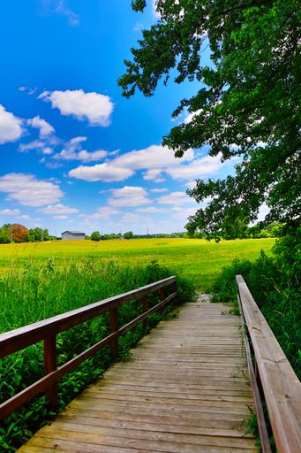 A wooden bridge stretches across a lush green meadow, illuminated by the bright blue sky