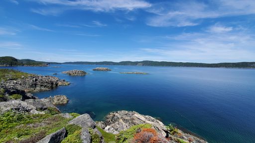 An aerial view of the deep, blue sea with rocky islands and rocky coast,covered by grass and a mountain in the background surrounded by trees