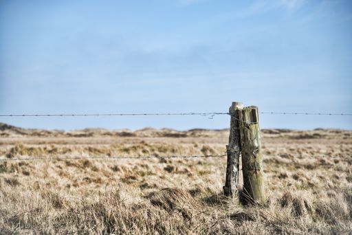 A beautiful shot of barbed wires tied on woods in the middle of a grass field under the clear sky