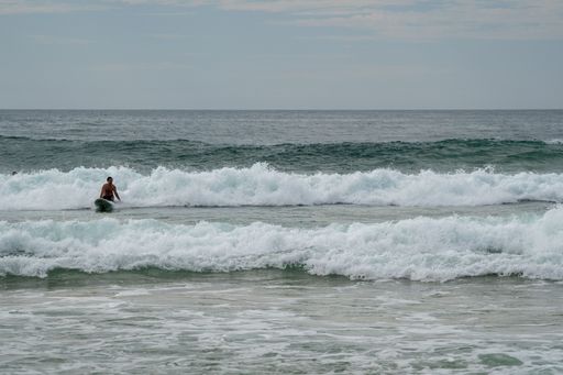 The surfer catching waves and having fun on Manly Beach. Australia.
