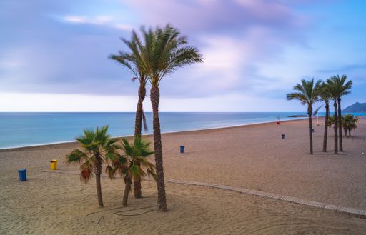 A high angle shot of a beach with palm trees and garbage bins with no people