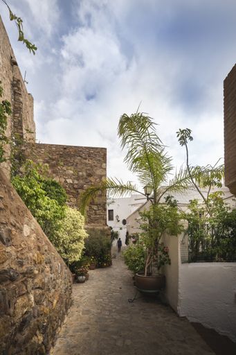 A verical shot of an alley made of bricks with plants along the way