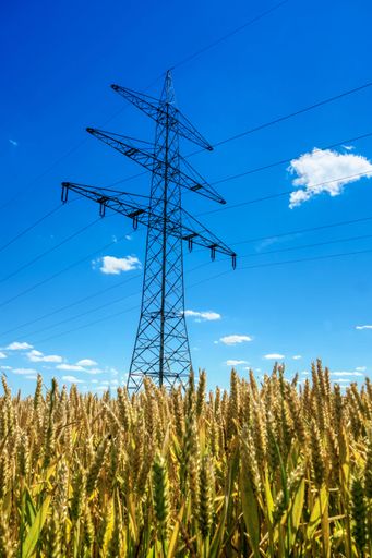 a vertical shot of High voltage power lines in a green landscape