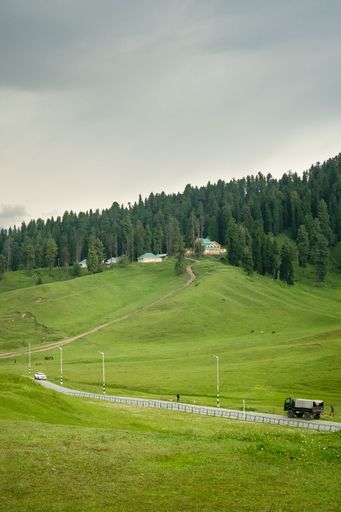 A vertical shot of a green grass field surrounded by large trees and hills on a cloudy day