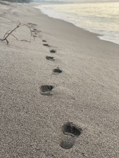 A vertical high angle shot of a person's footprints on the sandy beach