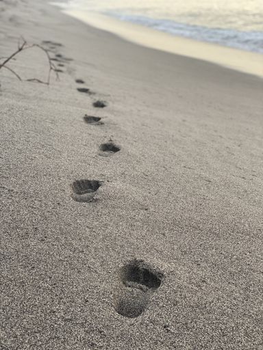 A vertical high angle shot of a person's footprints on the sandy beach