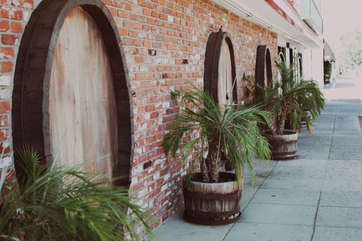 A side shot of plants in barrels leaning on a brick wall outdoor a dining hall in Burbank city