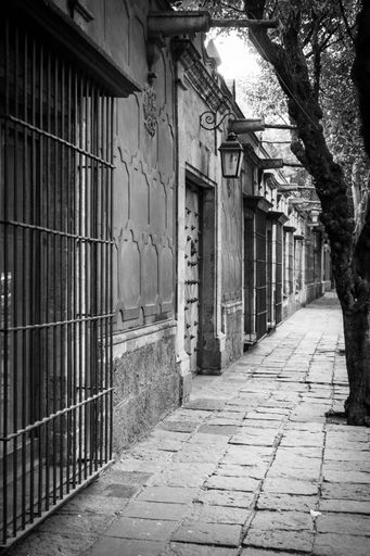A vertical greyscale shot of the sidewalk in the older part of the city