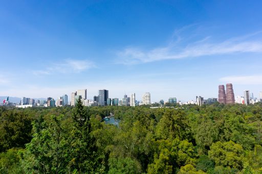 panoramic view of chapultepec park and Polanco in mexico city