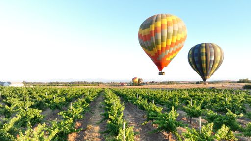 An aerial view of colorful hot air balloons flying over vineyards