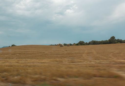 The round hay bales in a field seen through the car glass