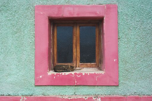 A closeup of a cat sleeping on a pink windowsill