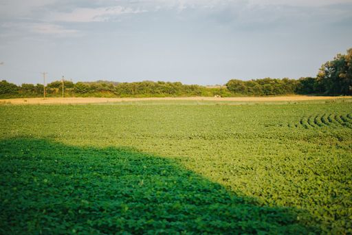 A scenic view of a wide green field in sunny weather in cloudy sky background