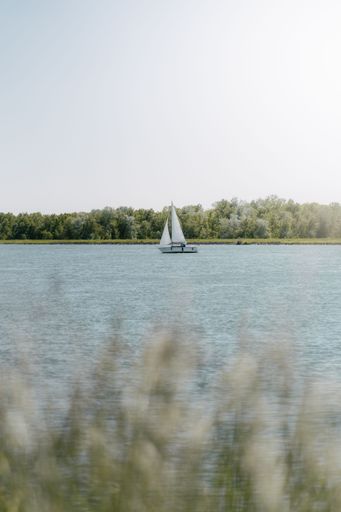 A vertical shot of a boat sailing in the lake