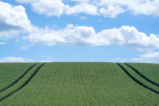 A landscape of a green field aginst a blue clouded sky