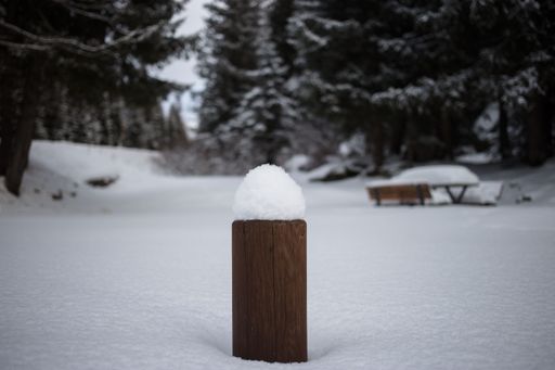 A selective focus shot of wooden post in snowy field