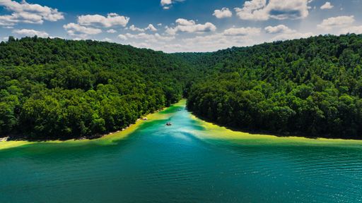 An aerial view of lush rainforests on a river shore under a cloudy sky