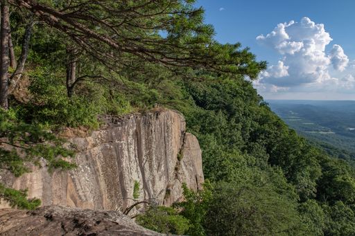 A scenic view of a steep cliff and dense forest in Rock City Gardens in Lookout Mountain, Georgia