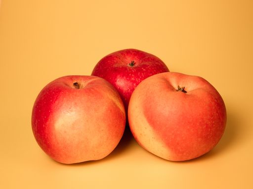 An isolated closeup shot of red and yellow apples on a yellow background