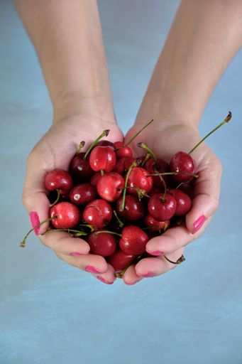 A top view of a person holding cherries against a light blue background