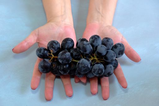 A top view of a person holding black grapes against a light blue background