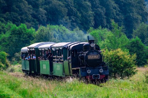The narrow gauge train with tourists from Sovata resort Romania
