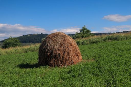 A large heap pile of brown hay on a rural field