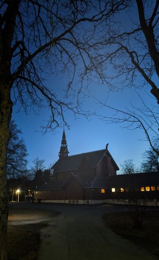 A vertical shot of an old building at night with street and trees in front