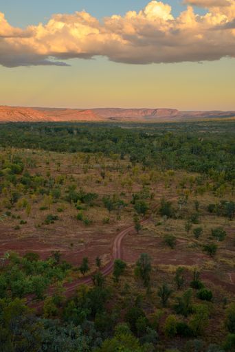 A vertical shot of the unpaved road in Australia on a cloudy day background