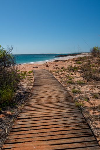 A vertical shot of a wooden pathway on the beach with green plants on a blue sky background