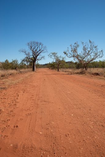 A vertical shot of desert dirt road on a blue sky background