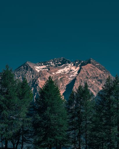 A beautiful shot of a top of mountain seen through fir trees