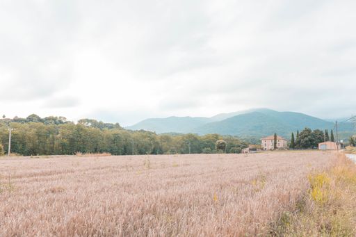 A long grass field surrounded by trees and mountains under the cloudy sky