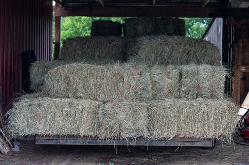 A closeup shot of haystack on the barn for the livestock
