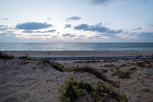 A beautiful shot of a seashore with plants growing in the sand under the cloudy sky