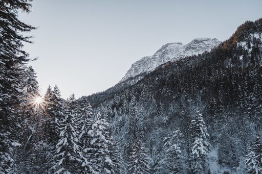 A beautiful scenery of a landscape with a lot of fir trees and high rocky mountains covered with snow under the sunlight