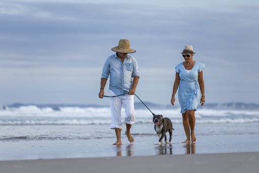 A beautiful shot of a couple on the beach with blue English Stafford dog