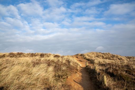 A scenic view of a narrow footpath along the shore of Sylt, North Frisia, Germany