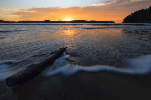 Incoming wave on driftwood during sunrise at Umina Beach in Australia