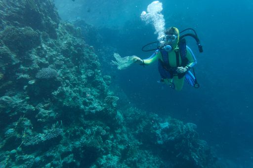A diver collecting plastic that causes sea pollution