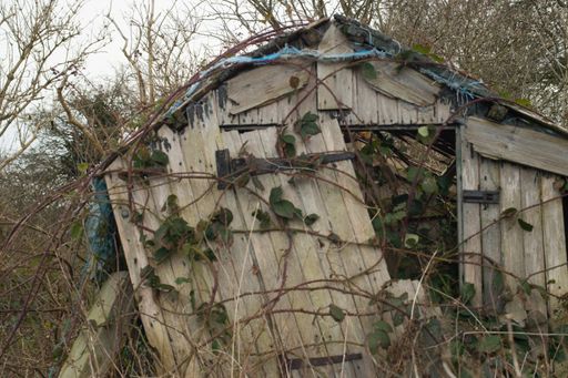 An old abandoned wooden shed in a forest